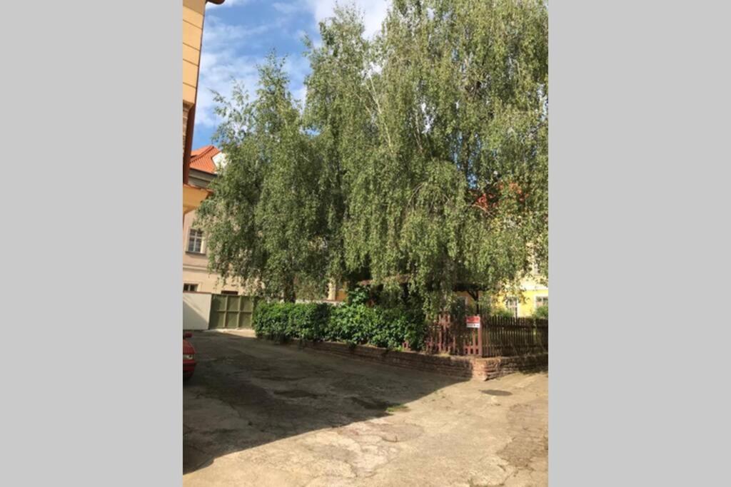 Rose Apartments / Romantic & Cozy / City Center Prag Dış mekan fotoğraf