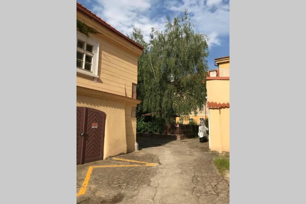 Rose Apartments / Romantic & Cozy / City Center Prag Dış mekan fotoğraf