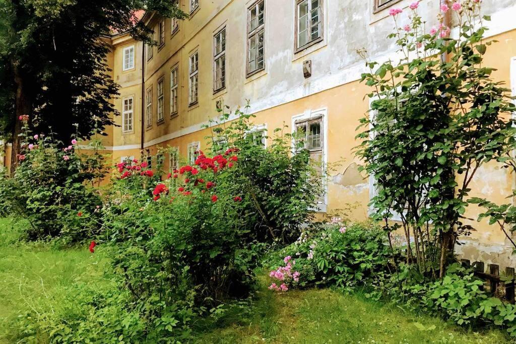 Rose Apartments / Romantic & Cozy / City Center Prag Dış mekan fotoğraf